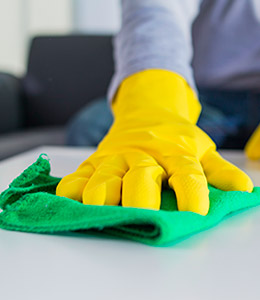 Carpet Cleaning